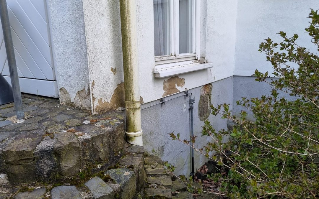 Bilder zu unseren Ortsbegehungen